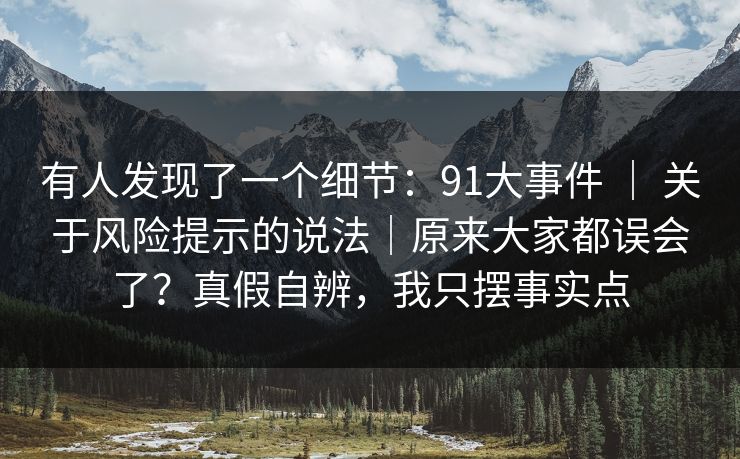 有人发现了一个细节：91大事件 ｜ 关于风险提示的说法｜原来大家都误会了？真假自辨，我只摆事实点  第1张
